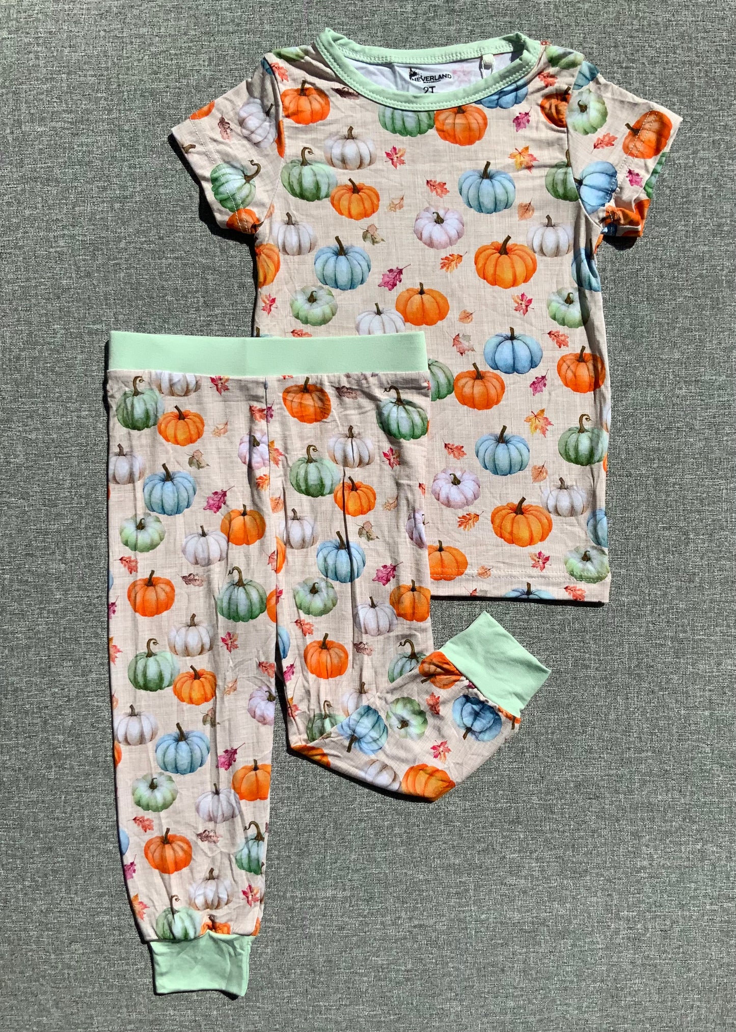 Pumpkin Patch Two Piece Bamboo Pajamas RTS