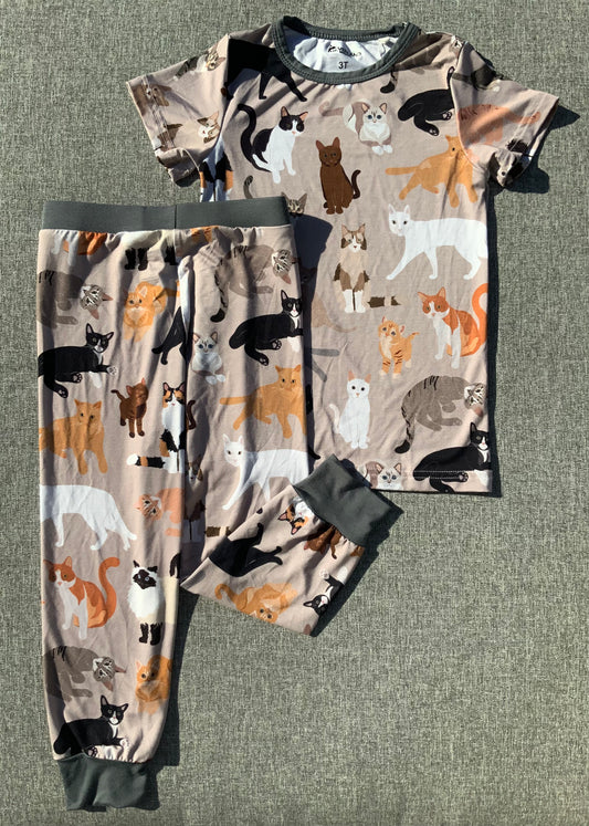 Curious Cats Two Piece Bamboo Pajamas RTS